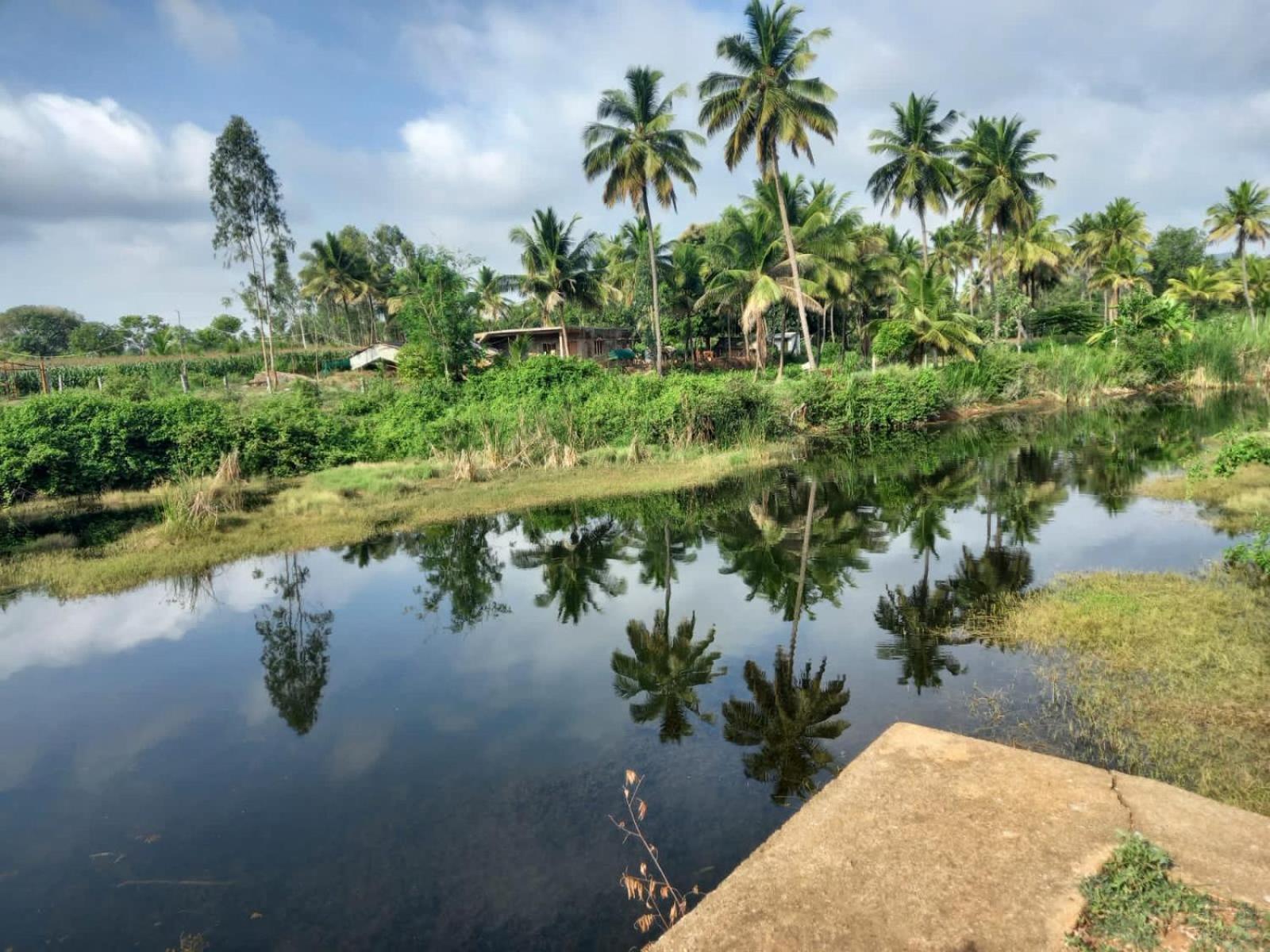 Wilderness Jungle Camp Hotel Malavalli Luaran gambar